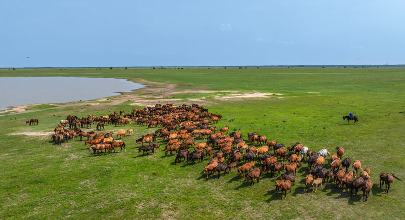 凯时娱乐k66(й)ٷվ
