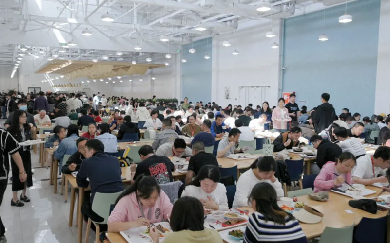 凯时娱乐k66(й)ٷվ